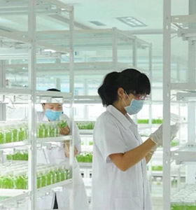 小黄片软件大全儀器
