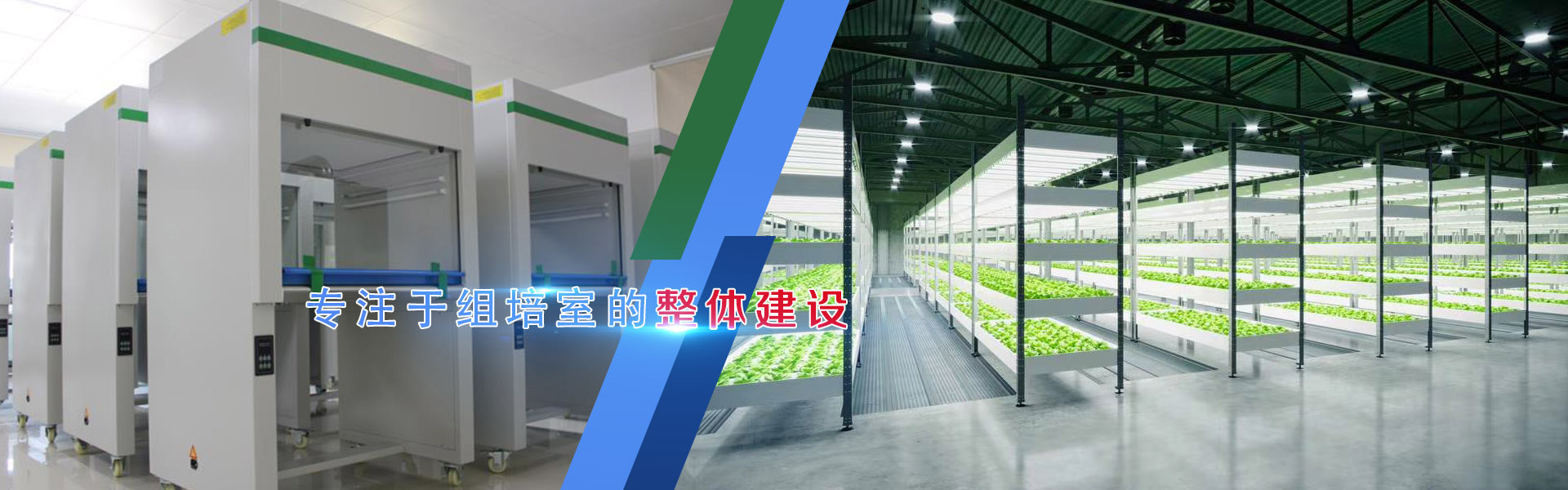 小黄片软件大全、小黄片软件大全架