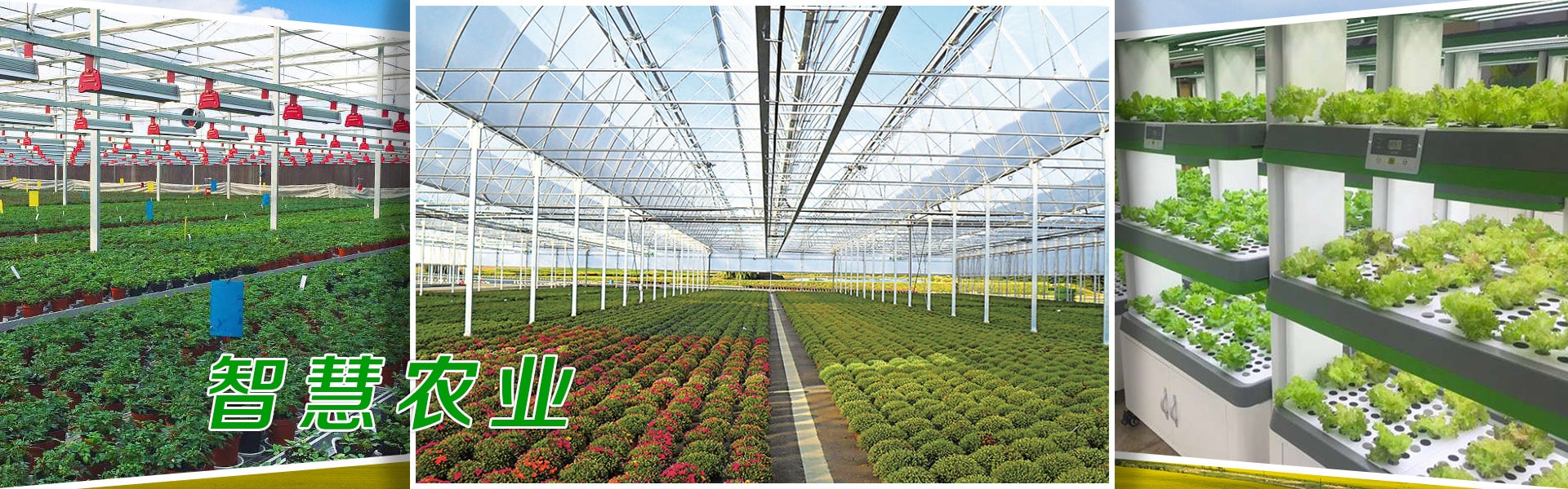 小黄片软件大全、小黄片软件大全架