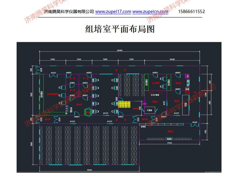 山東小黄片软件大全室(培養室)建設設計