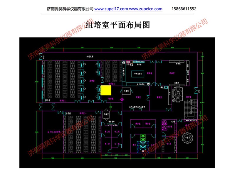 小黄片软件大全室