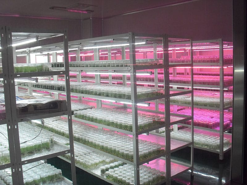 藍莓小黄片软件大全室及儀器設備