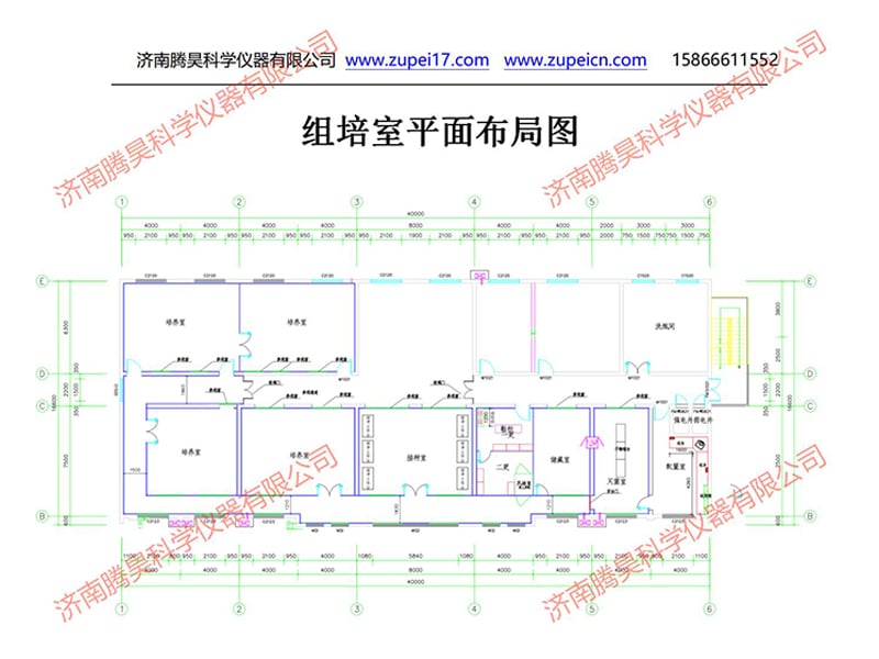 濟寧小黄片软件大全室設計