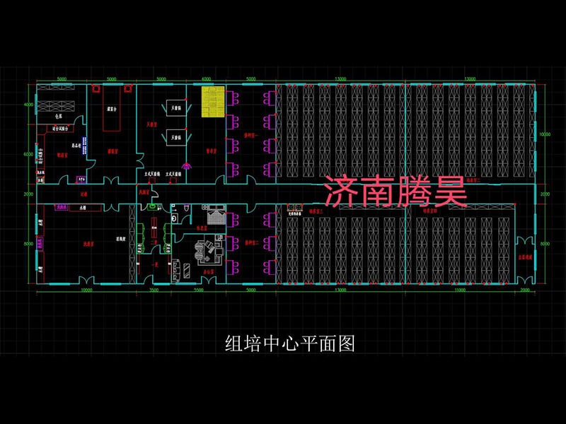 900平米小黄片软件大全室平麵設計圖