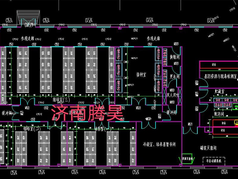 小黄片软件大全  小黄片软件大全室