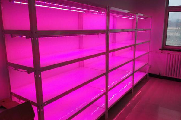 小黄片软件大全儀器廠家