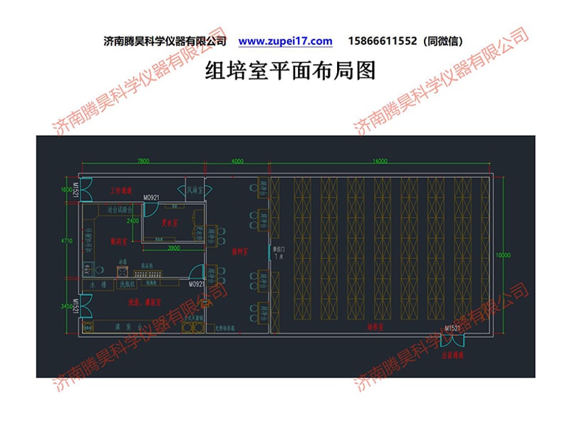 昆明人參果小黄片软件大全室建設方案