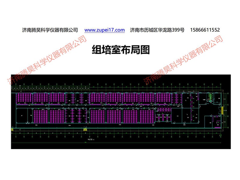 蘭州新區小黄片软件大全室設計圖