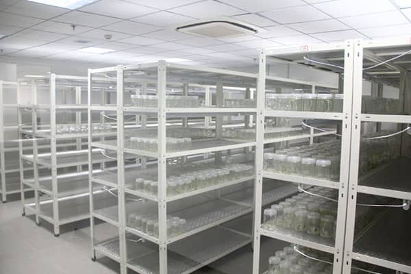 小黄片软件大全架