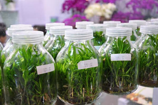 小黄片软件大全瓶廠家