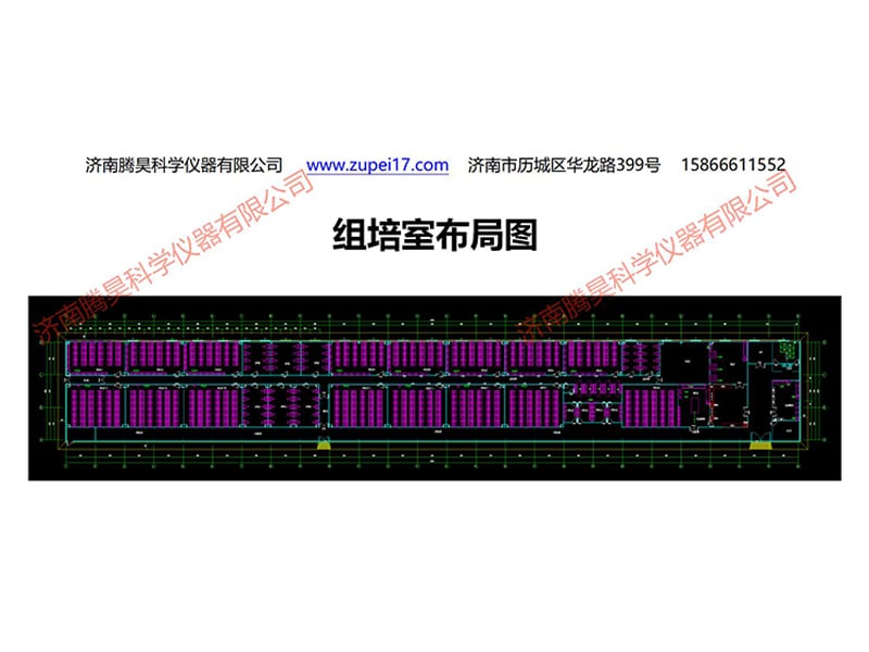 浙江植物小黄片软件大全實驗