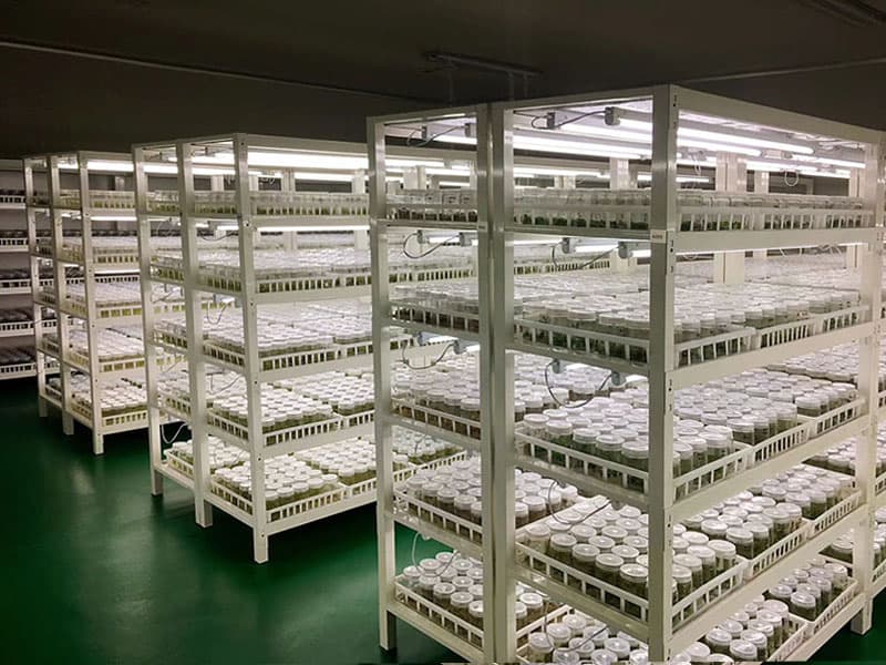 小黄片软件大全  小黄片软件大全架