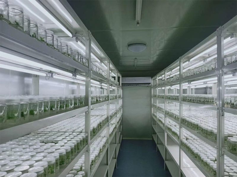 小黄片软件大全  小黄片软件大全架