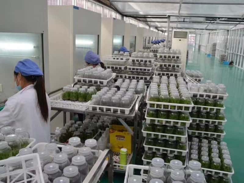 小黄片软件大全設備