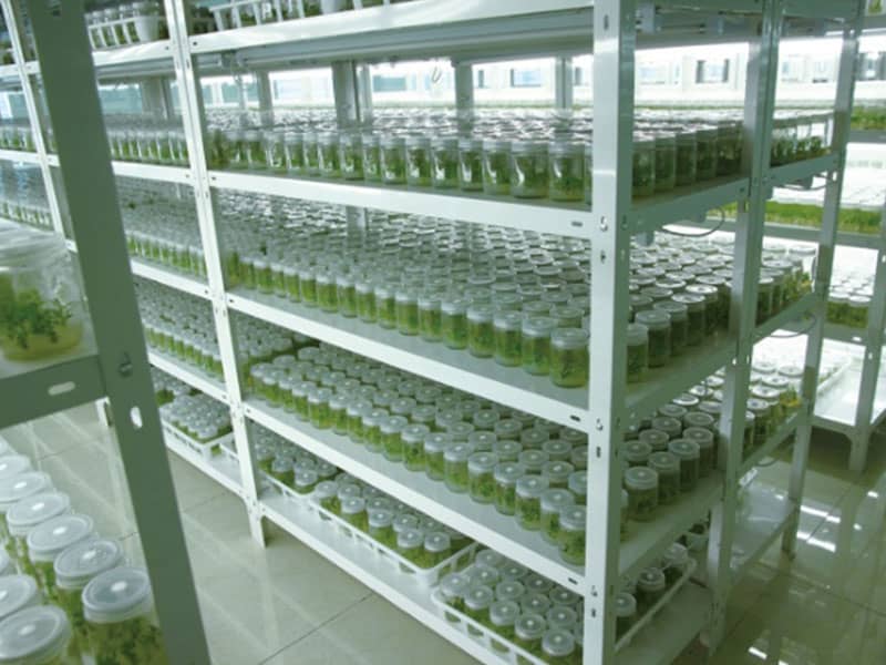小黄片软件大全  小黄片软件大全架