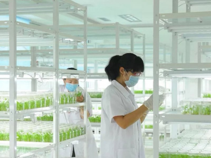 小黄片软件大全  小黄片软件大全架