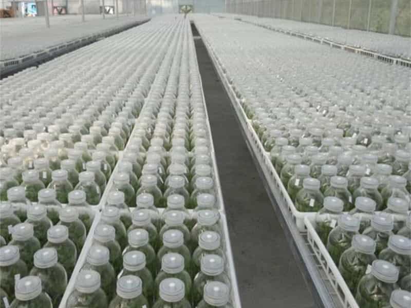 小黄片软件大全  小黄片软件大全瓶