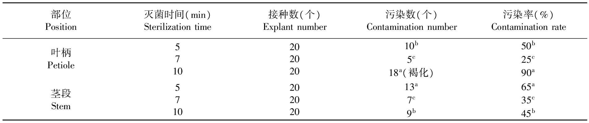 植物小黄片软件大全設備
