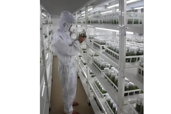小黄片软件大全
