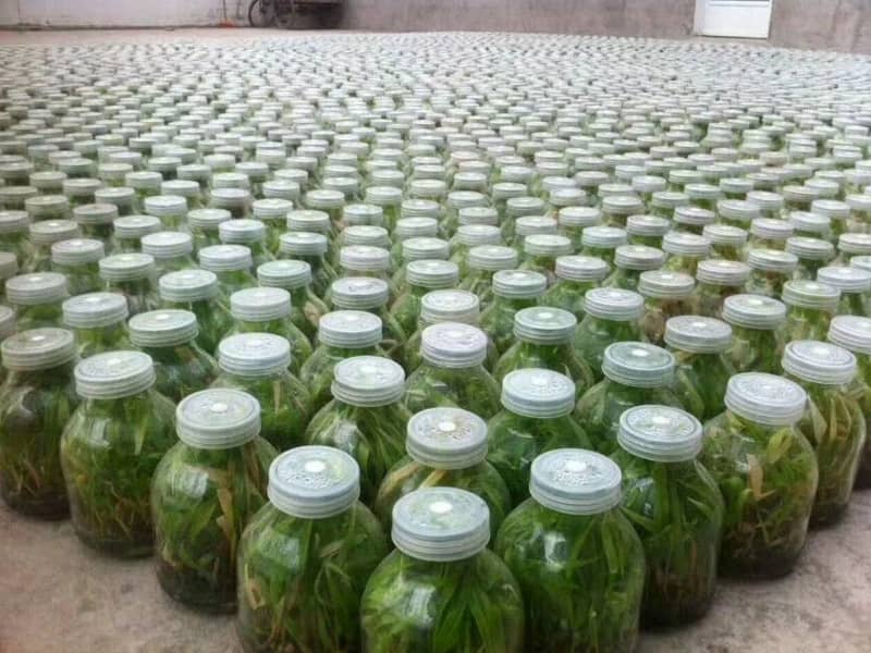 小黄片软件大全  小黄片软件大全瓶