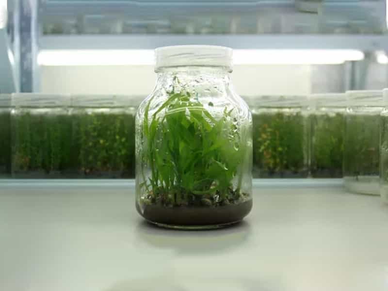 小黄片软件大全  小黄片软件大全瓶