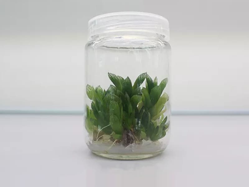 小黄片软件大全  小黄片软件大全瓶