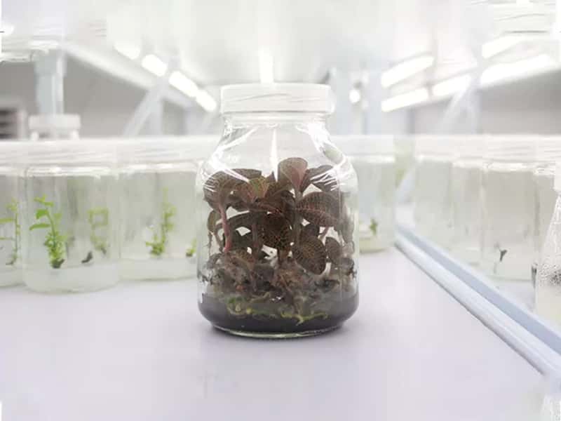 小黄片软件大全  小黄片软件大全瓶