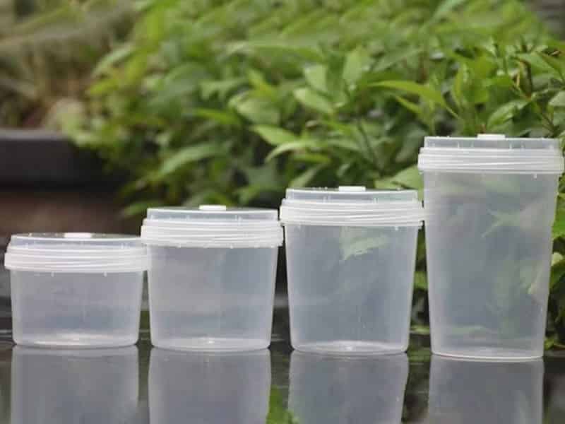 小黄片软件大全  小黄片软件大全瓶