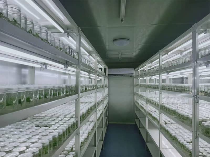 小黄片软件大全  小黄片软件大全設備  植物小黄片软件大全