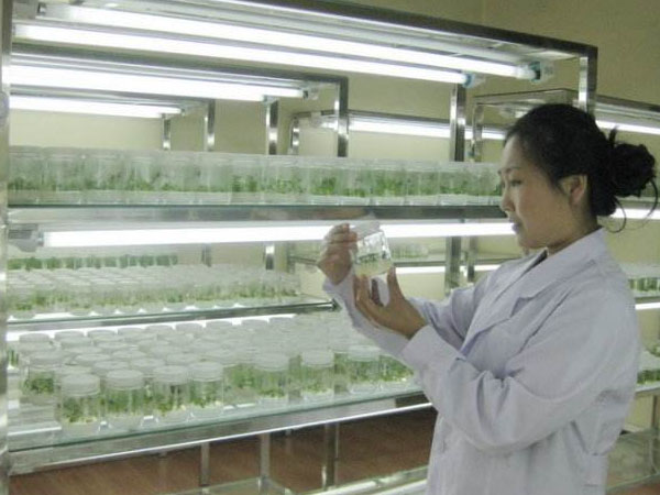 小黄片软件大全