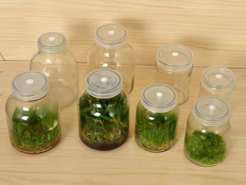 小黄片软件大全  小黄片软件大全瓶