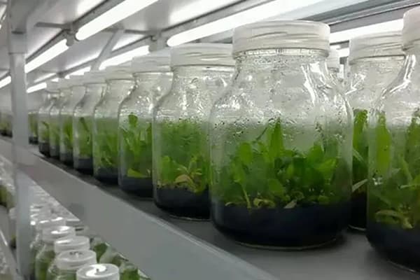 小黄片软件大全設備