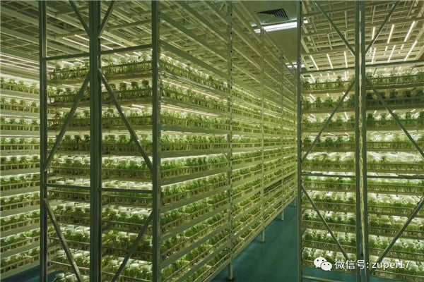 小黄片软件大全儀器設備