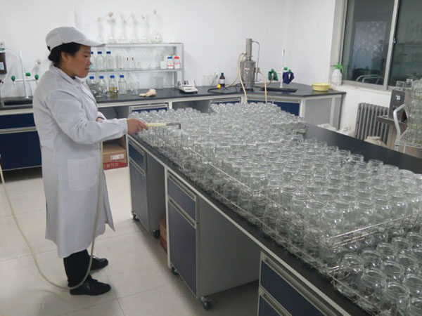 小黄片软件大全室設計