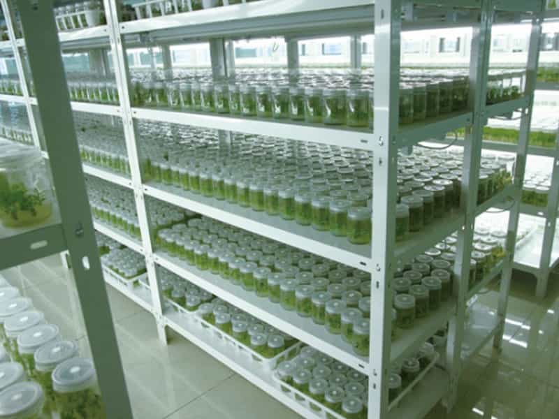 小黄片软件大全  小黄片软件大全設備