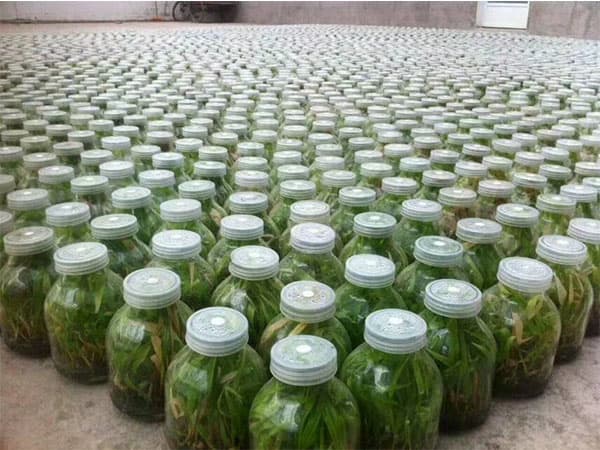 小黄片软件大全  小黄片软件大全瓶