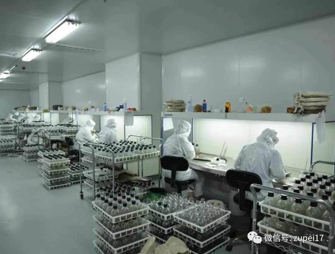 小黄片软件大全